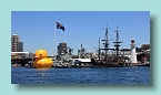 51_Giant Rubber Duck Arrives
